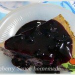 Blueberry CheeseCake