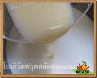 Yogurt Fruit Salad - Prepare a pot / container