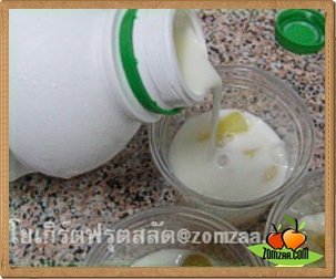 Yogurt Fruit Salad - Pour a yogurt milk to make it fit.