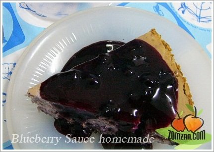 Blueberry CheeseCake